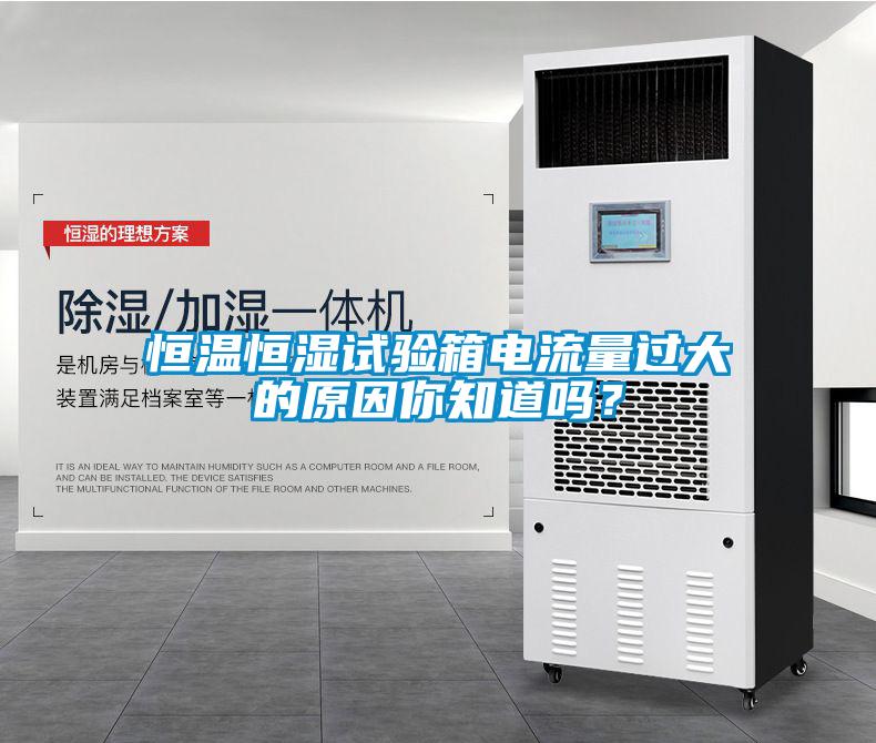 恒溫恒濕試驗箱電流量過大的原因你知道嗎？