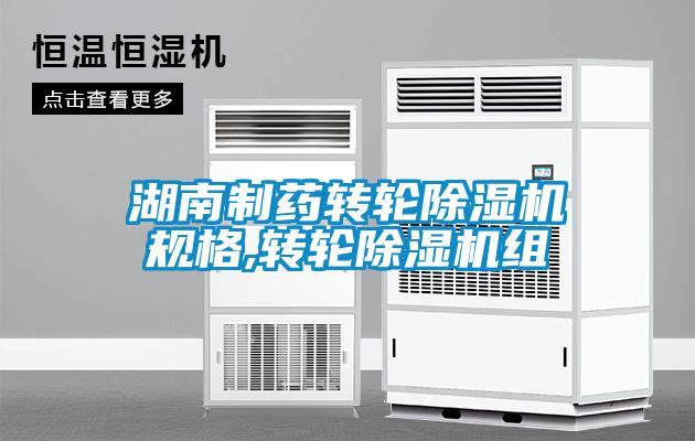 湖南制藥轉(zhuǎn)輪除濕機規(guī)格,轉(zhuǎn)輪除濕機組