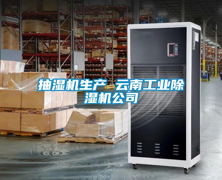 抽濕機生產 云南工業(yè)除濕機公司