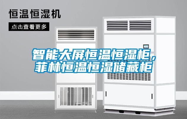 智能大屏恒溫恒濕柜，菲林恒溫恒濕儲(chǔ)藏柜