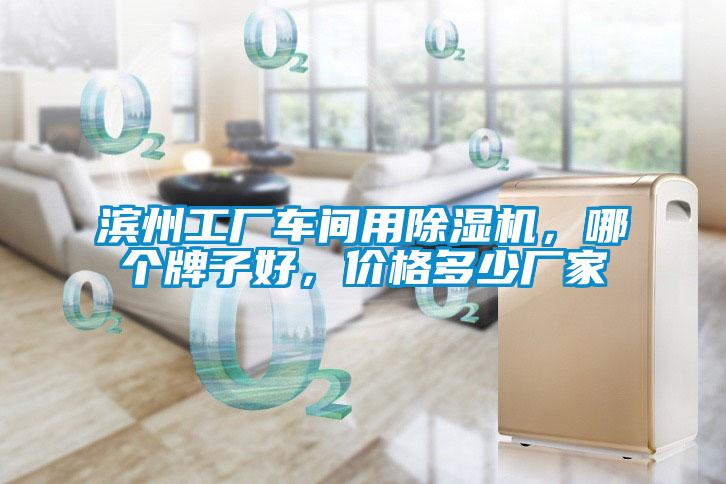 濱州工廠車間用除濕機，哪個牌子好，價格多少廠家