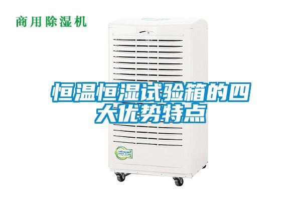 恒溫恒濕試驗(yàn)箱的四大優(yōu)勢特點(diǎn)