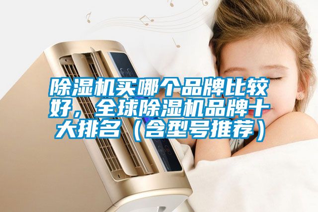 除濕機買哪個品牌比較好，全球除濕機品牌十大排名（含型號推薦）