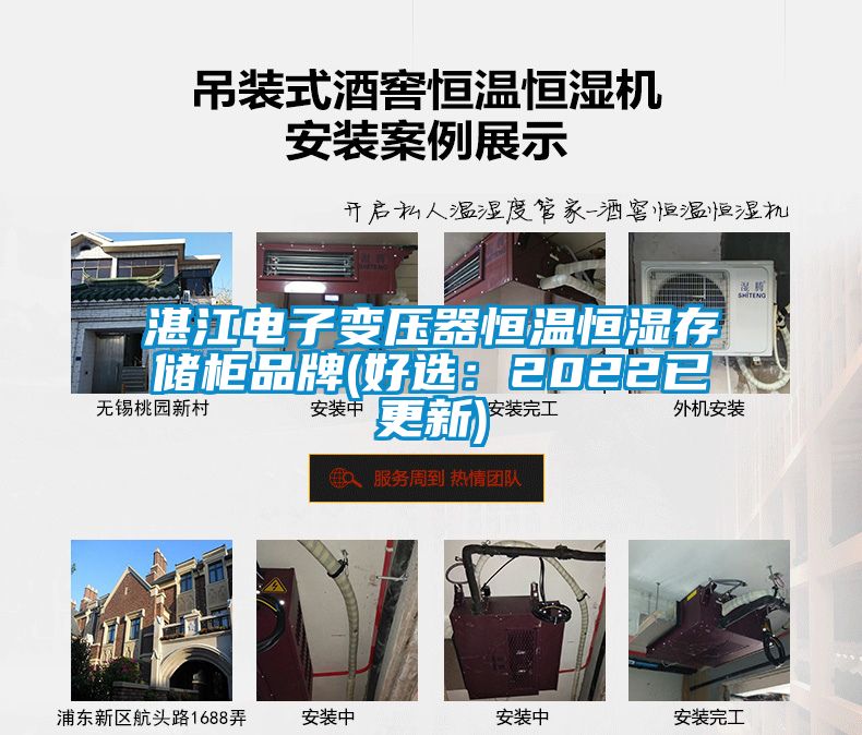 湛江電子變壓器恒溫恒濕存儲(chǔ)柜品牌(好選：2022已更新)