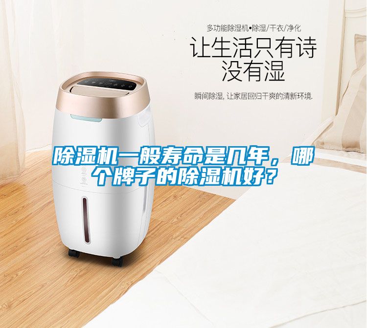 除濕機一般壽命是幾年，哪個牌子的除濕機好？