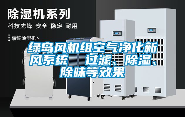 綠島風(fēng)機(jī)組空氣凈化新風(fēng)系統(tǒng)  過濾、除濕、除味等效果