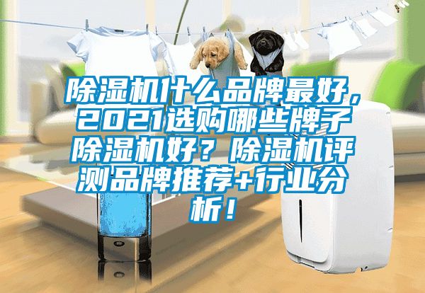 除濕機什么品牌最好，2021選購哪些牌子除濕機好？除濕機評測品牌推薦+行業分析！