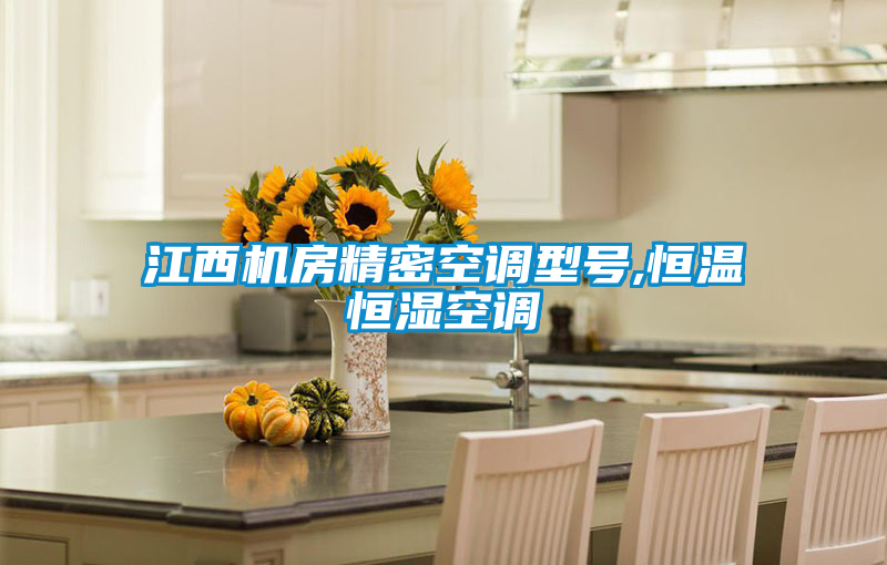 江西機(jī)房精密空調(diào)型號,恒溫恒濕空調(diào)