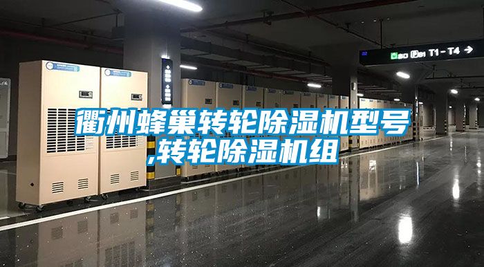 衢州蜂巢轉(zhuǎn)輪除濕機型號,轉(zhuǎn)輪除濕機組