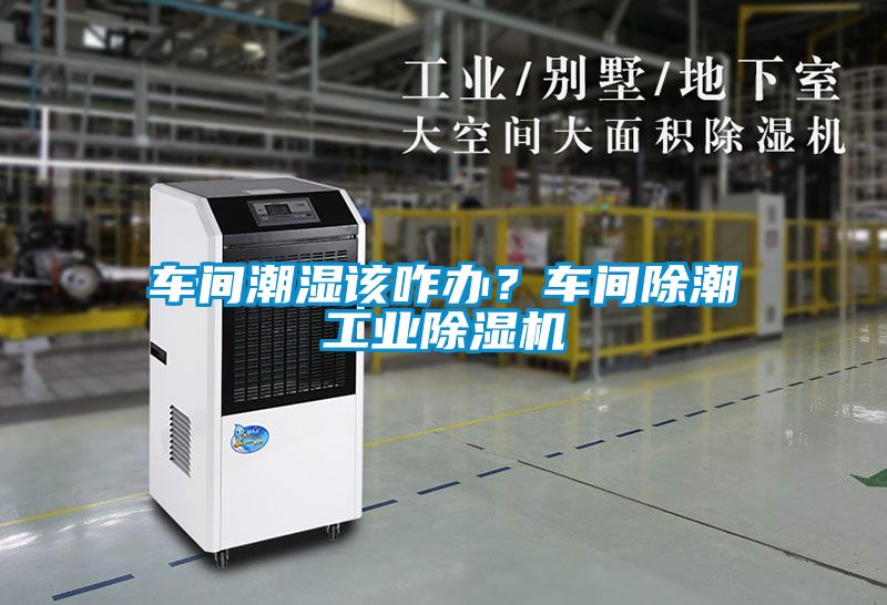 車間潮濕該咋辦？車間除潮工業除濕機