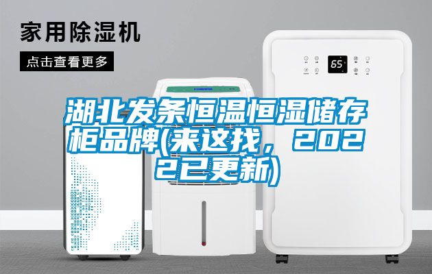 湖北發條恒溫恒濕儲存柜品牌(來這找，2022已更新)