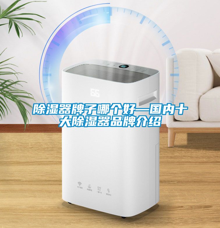 除濕器牌子哪個好—國內(nèi)十大除濕器品牌介紹