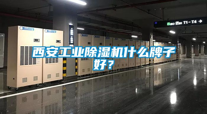 西安工業(yè)除濕機什么牌子好？