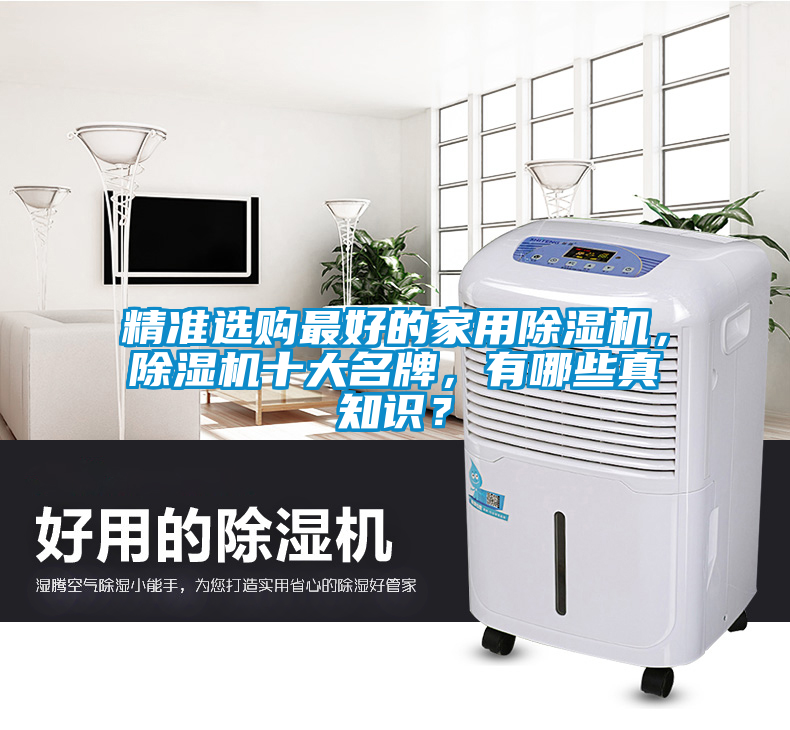 精準選購最好的家用除濕機，除濕機十大名牌，有哪些真知識？