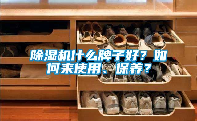 除濕機(jī)什么牌子好？如何來(lái)使用、保養(yǎng)？