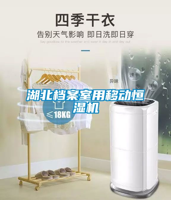 湖北檔案室用移動恒濕機(jī)