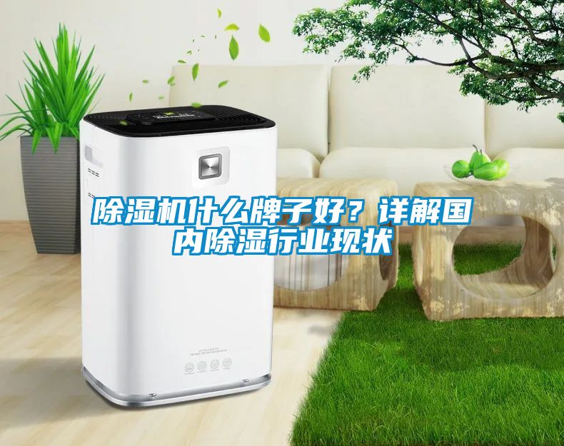 除濕機(jī)什么牌子好？詳解國(guó)內(nèi)除濕行業(yè)現(xiàn)狀