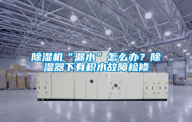 除濕機“漏水”怎么辦？除濕器下有積水故障檢修