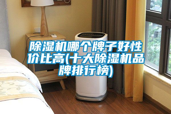 除濕機(jī)哪個牌子好性價比高(十大除濕機(jī)品牌排行榜)