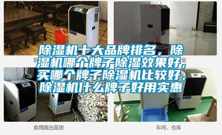 除濕機十大品牌排名，除濕機哪個牌子除濕效果好，買哪個牌子除濕機比較好，除濕機什么牌子好用實惠