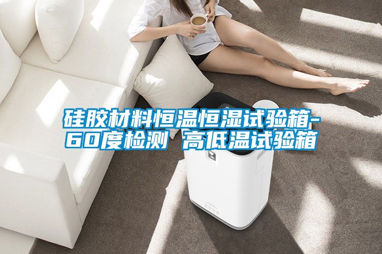 硅膠材料恒溫恒濕試驗(yàn)箱-60度檢測 高低溫試驗(yàn)箱