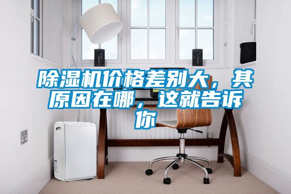 除濕機價格差別大，其原因在哪，這就告訴你