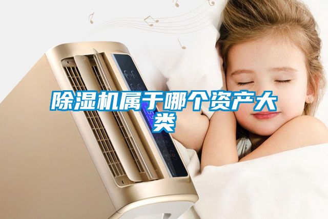 除濕機(jī)屬于哪個(gè)資產(chǎn)大類(lèi)