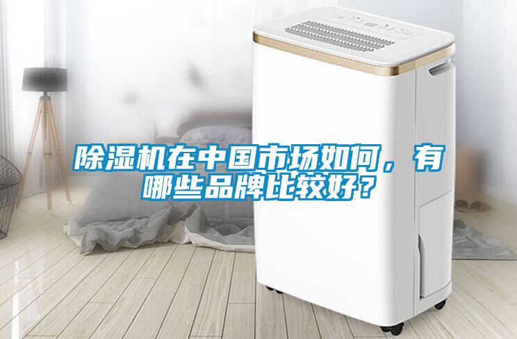 除濕機在中國市場如何，有哪些品牌比較好？