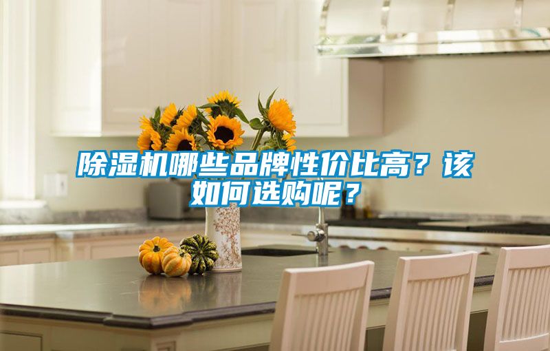 除濕機哪些品牌性價比高？該如何選購呢？