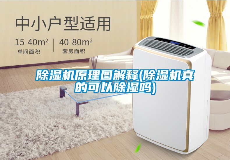 除濕機(jī)原理圖解釋(除濕機(jī)真的可以除濕嗎)