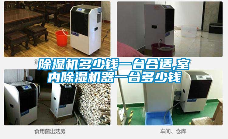 除濕機(jī)多少錢一臺合適,室內(nèi)除濕機(jī)器一臺多少錢