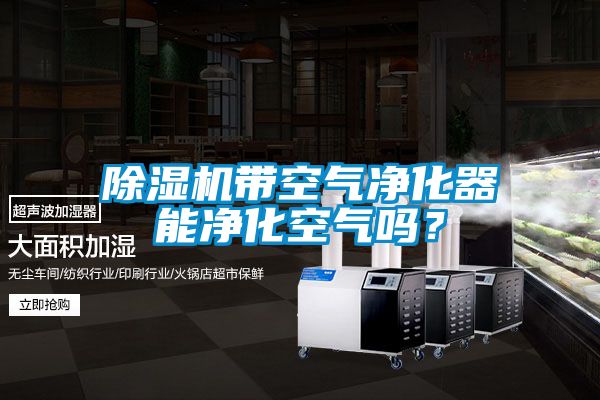 除濕機(jī)帶空氣凈化器能凈化空氣嗎？
