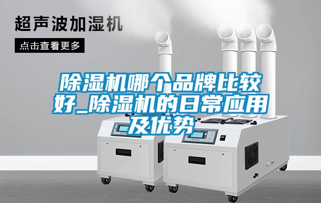 除濕機(jī)哪個(gè)品牌比較好_除濕機(jī)的日常應(yīng)用及優(yōu)勢(shì)