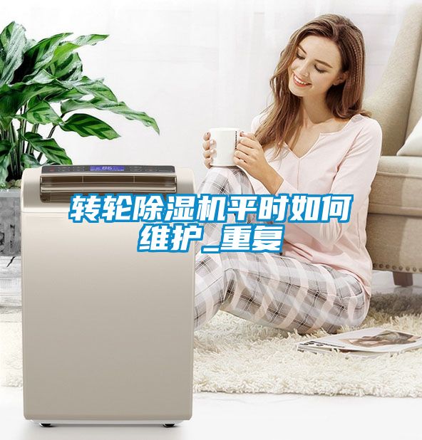 轉(zhuǎn)輪除濕機平時如何維護_重復(fù)