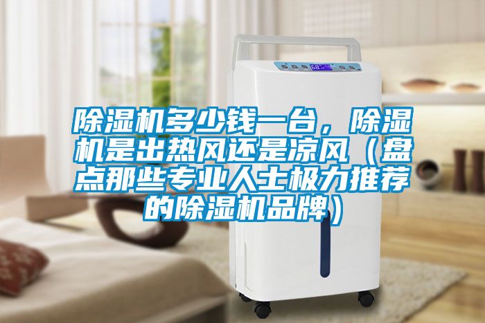 除濕機(jī)多少錢一臺(tái)，除濕機(jī)是出熱風(fēng)還是涼風(fēng)（盤(pán)點(diǎn)那些專業(yè)人士極力推薦的除濕機(jī)品牌）