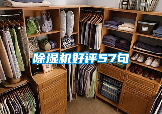 除濕機(jī)好評(píng)57句