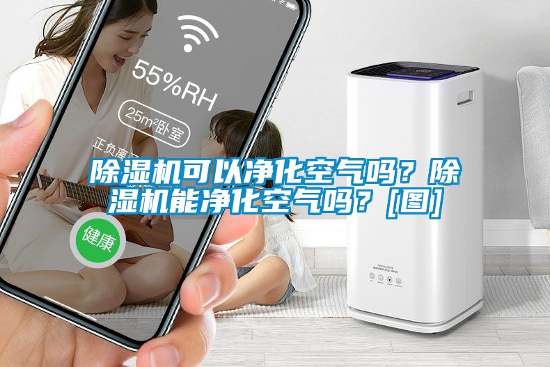除濕機可以凈化空氣嗎？除濕機能凈化空氣嗎？[圖]