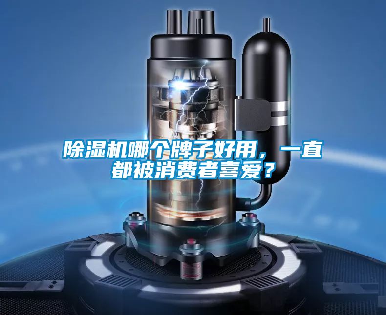 除濕機(jī)哪個(gè)牌子好用，一直都被消費(fèi)者喜愛(ài)？