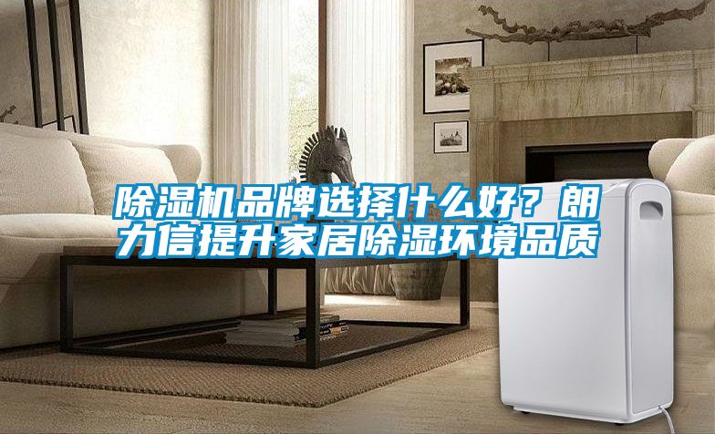 除濕機品牌選擇什么好？朗力信提升家居除濕環境品質