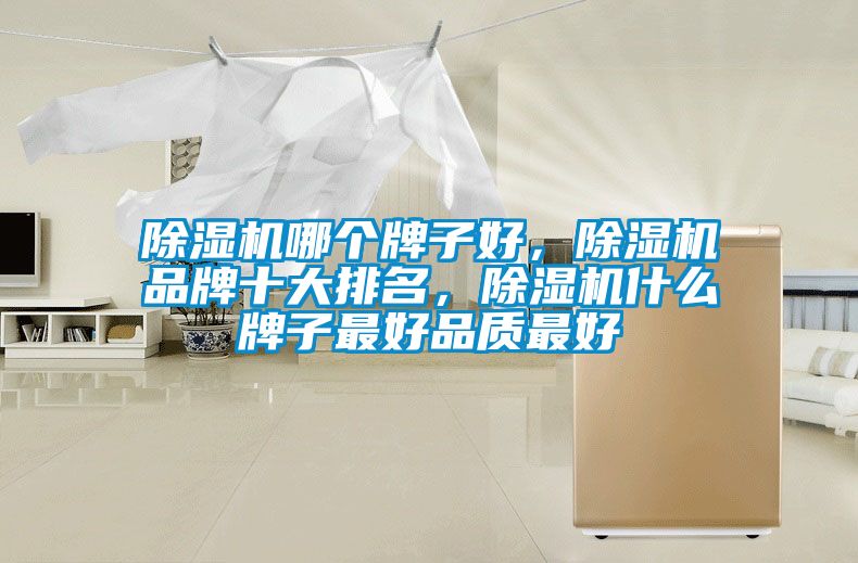 除濕機哪個牌子好，除濕機品牌十大排名，除濕機什么牌子最好品質最好
