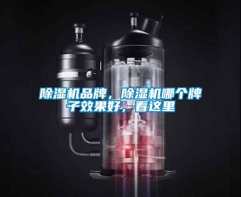除濕機品牌，除濕機哪個牌子效果好，看這里