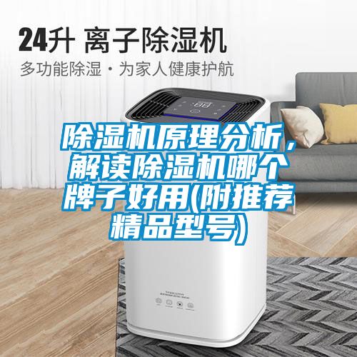 除濕機原理分析，解讀除濕機哪個牌子好用(附推薦精品型號)