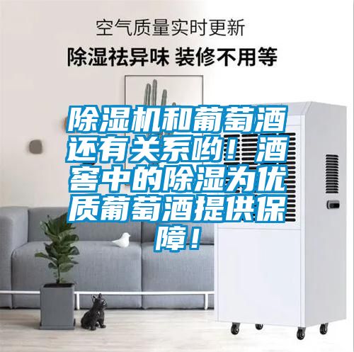 除濕機和葡萄酒還有關系喲！酒窖中的除濕為優(yōu)質(zhì)葡萄酒提供保障！