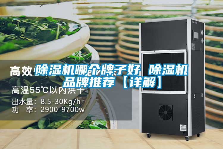 除濕機(jī)哪個牌子好 除濕機(jī)品牌推薦【詳解】