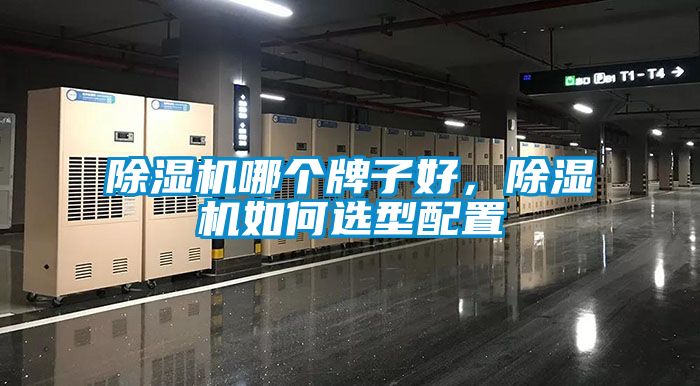 除濕機哪個牌子好，除濕機如何選型配置