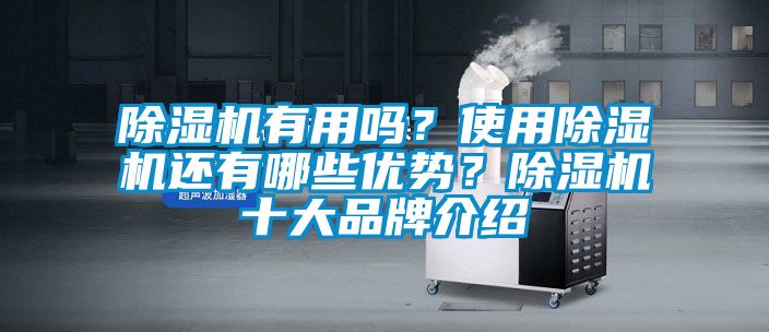 除濕機有用嗎？使用除濕機還有哪些優勢？除濕機十大品牌介紹
