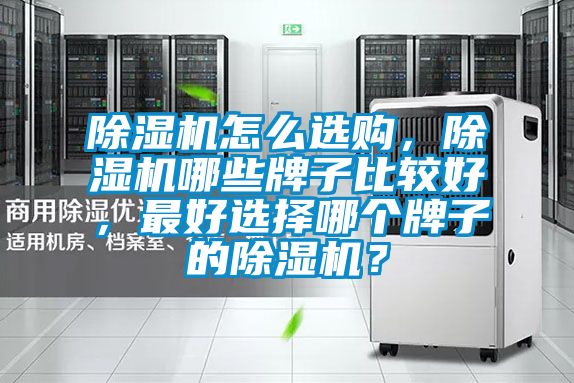 除濕機怎么選購，除濕機哪些牌子比較好，最好選擇哪個牌子的除濕機？