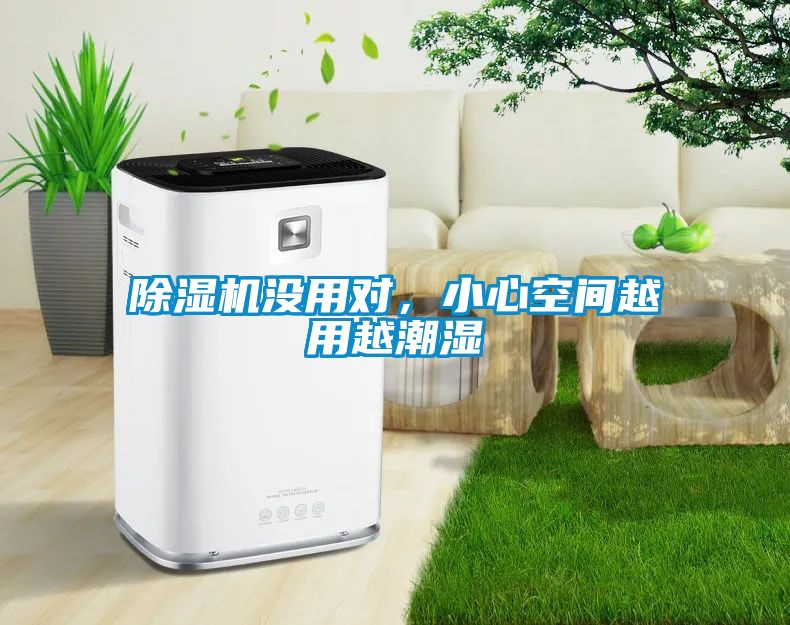 除濕機沒用對，小心空間越用越潮濕