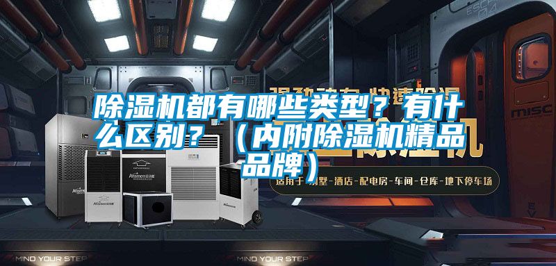 除濕機都有哪些類型？有什么區別？（內附除濕機精品品牌）