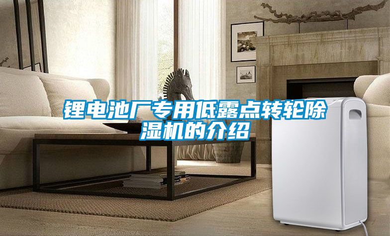 鋰電池廠專用低露點轉輪除濕機的介紹